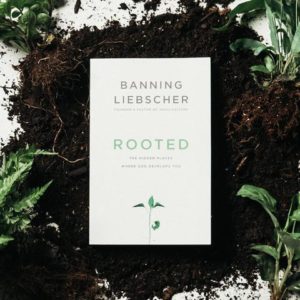 Rooted Bible Image